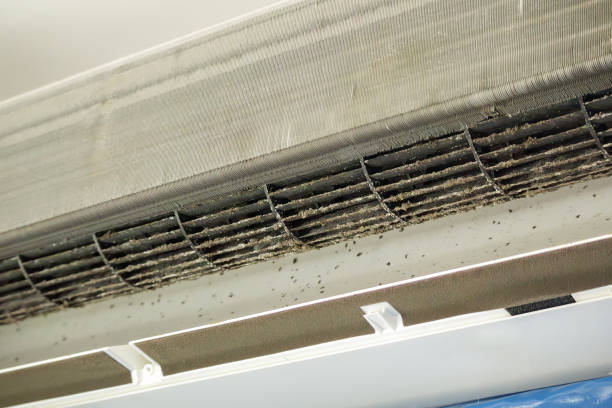 Best Ductwork Cleaning Services  in Hazen, ND